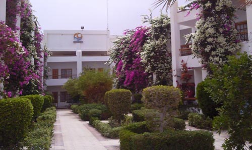 Отель Менавилл Сафага