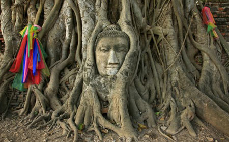 Голова Будды в парке Аюттхая